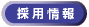 �̗p���