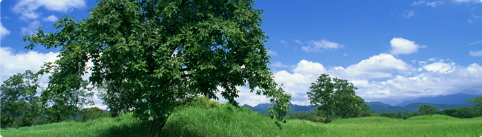 Environmental Activities