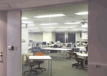 Blind functional liquid crystal film